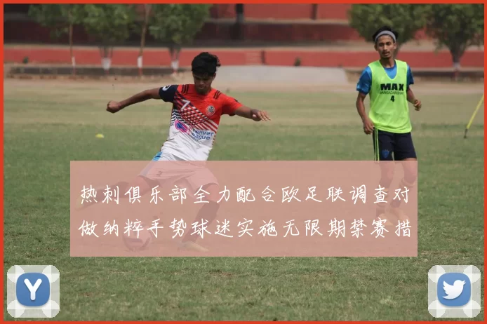热刺俱乐部全力配合欧足联调查对做纳粹手势球迷实施无限期禁赛措施