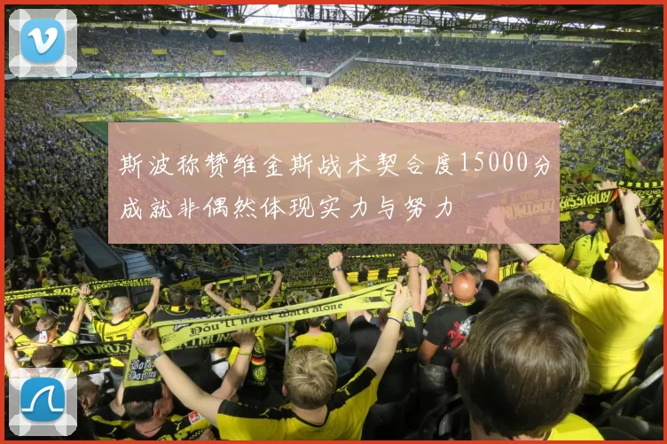 斯波称赞维金斯战术契合度15000分成就非偶然体现实力与努力